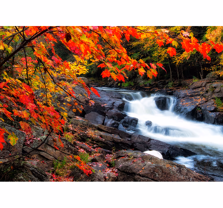 Fototapete wald herbst wasserfall landschaft - TenStickers
