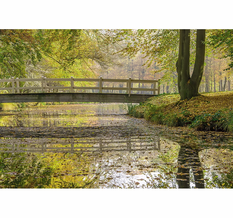 Fototapete Natur Holzweg im wald mit see - TenStickers
