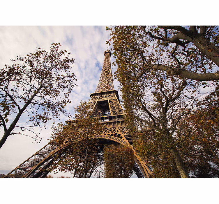 Fototapete paris mit aussicht auf den eiffelturm - TenStickers