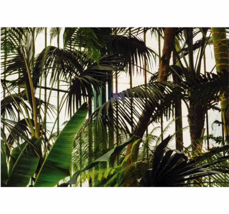 Fototapete Natur lebendiges tropisches laub - TenStickers