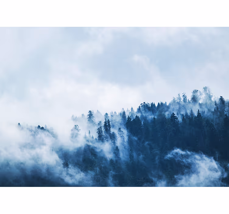 Fototapete natur nebelwald landschaft - TenStickers