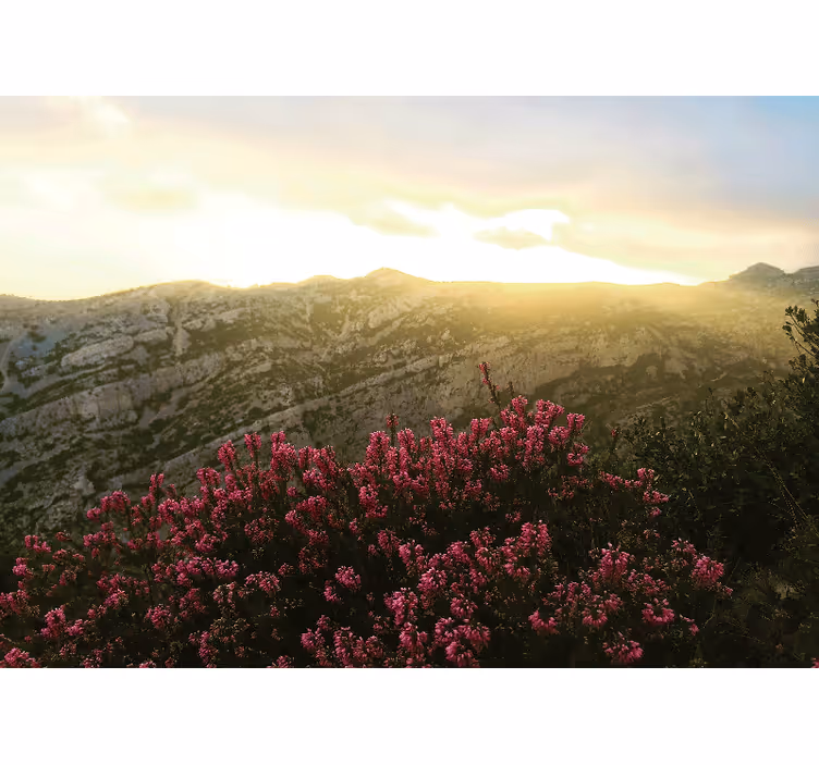 Fototapete natur mit blühender rosa flora - TenStickers