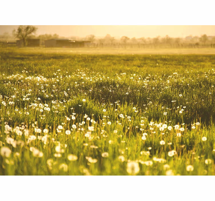 Fototapete blumen wiesenlandschaft mit löwenzahn - TenStickers