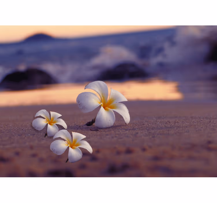 Fototapete mohnblumen tropisches blumen trio - TenStickers
