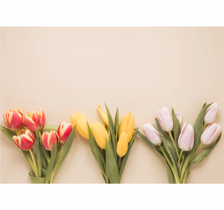 Fototapete blumen buntes tulpenarrangement - TenStickers