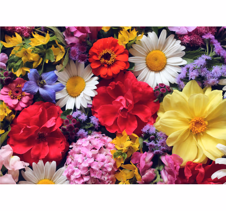 Fototapete blumen lebendige blumenarrangements - TenStickers