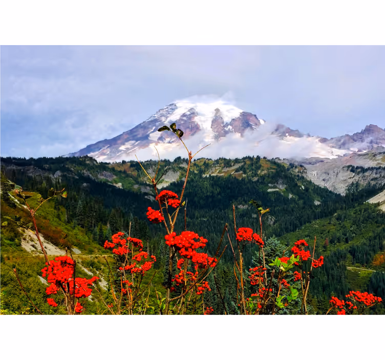 Fototapete landschaft mit schneebedecktem berg - TenStickers