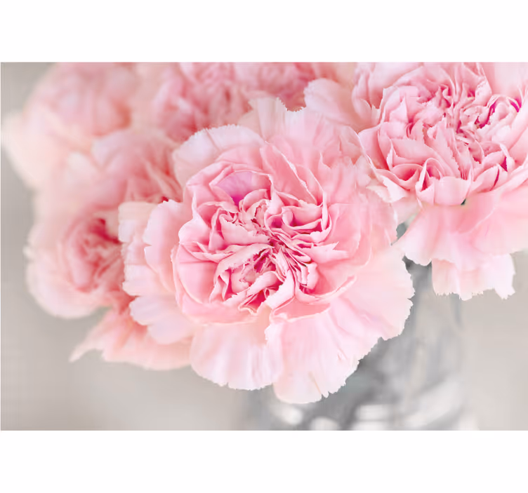 Fototapete blumen lieblich pinke blüten - TenStickers