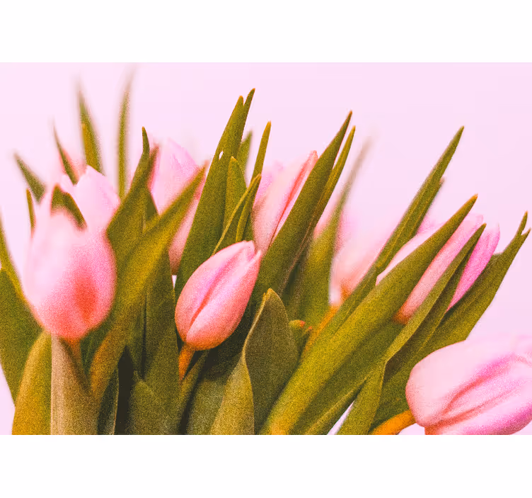 Fototapete mohnblumen und rosa tulpenblüten - TenStickers