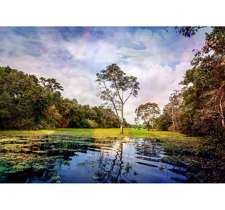 Fototapete Natur Pacaya samiria nationalreservat national - TenStickers