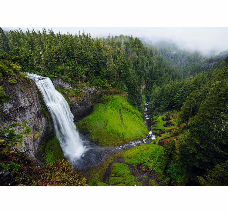 Fototapete natur grüner wasserfall - TenStickers