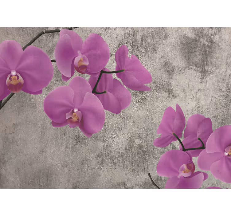 Fototapete blumen rosen und orchideenblüten - TenStickers