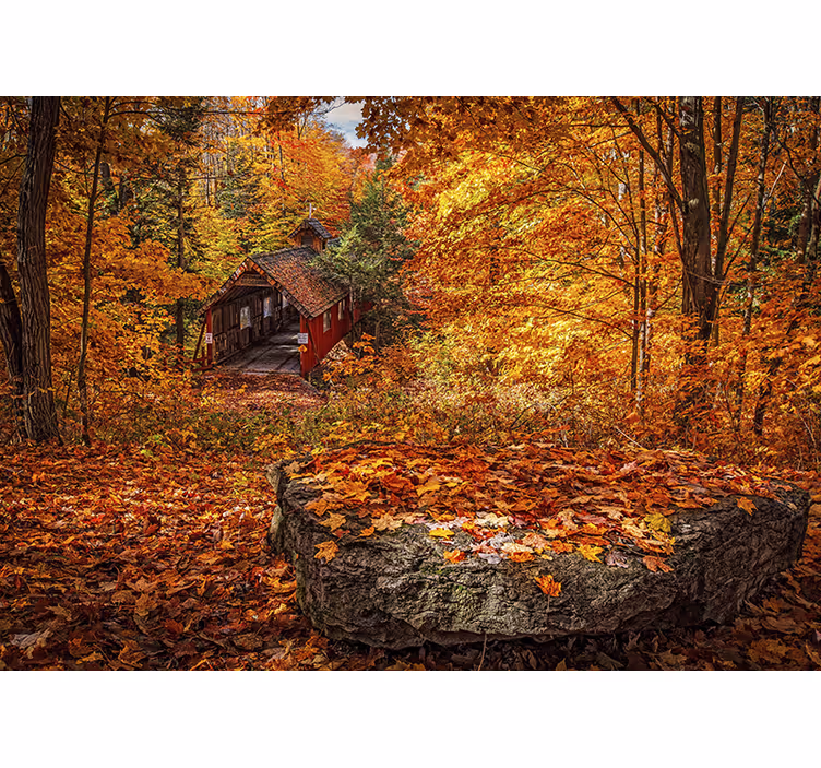 Fototapete Wald Herbstlandschaft mit gefallenen blättern - TenStickers