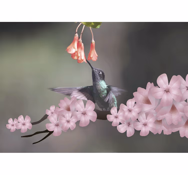 Fototapete tiere kolibri und blüten - TenStickers
