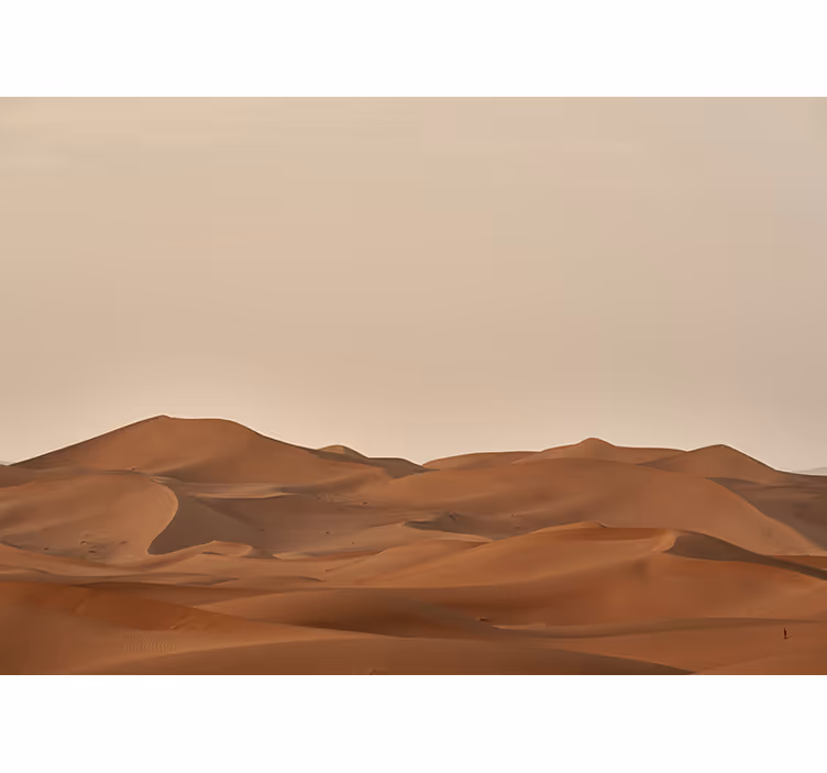 Fototapete wüste sandige landschaft der wüste - TenStickers