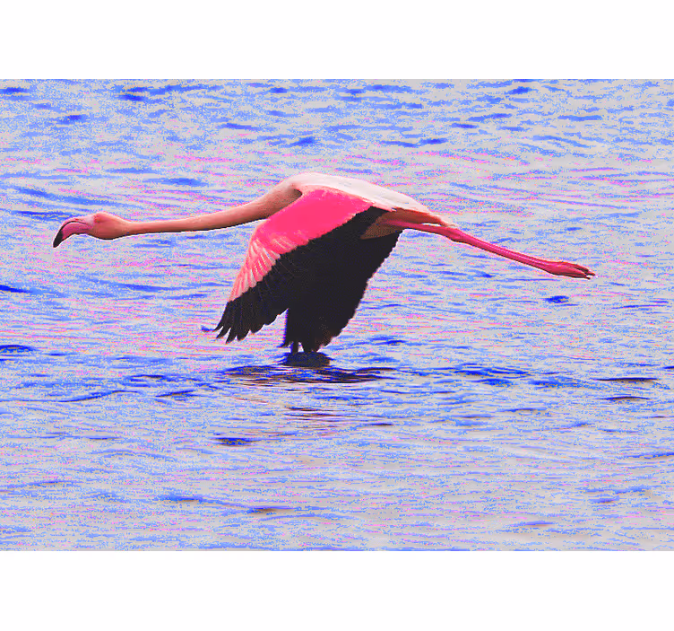 Fototapete Tiere flamingo im flug - TenStickers