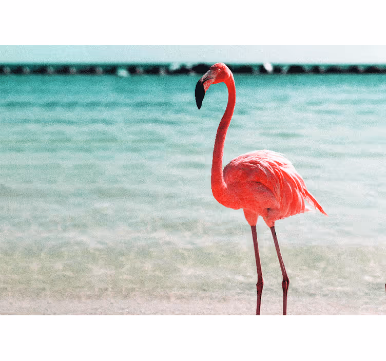 Fototapete tiere elegante flamingo pose - TenStickers
