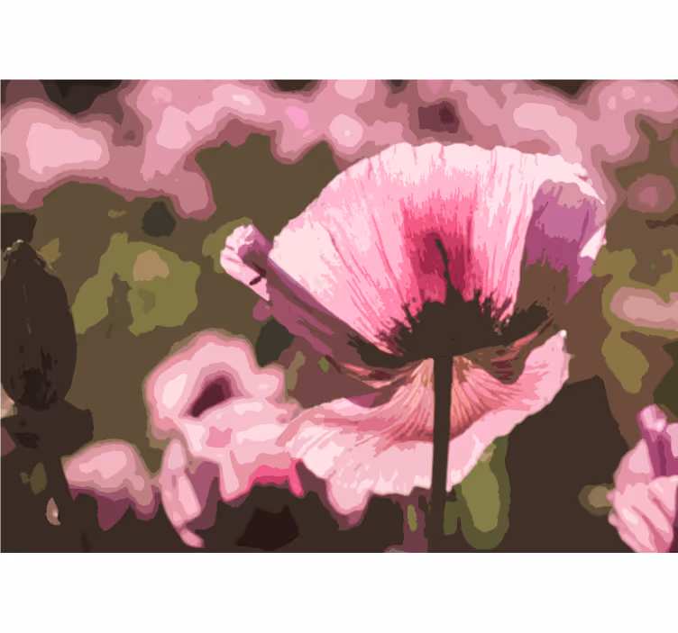 Fototapete mohnblumen pinker mohnblüten - TenStickers
