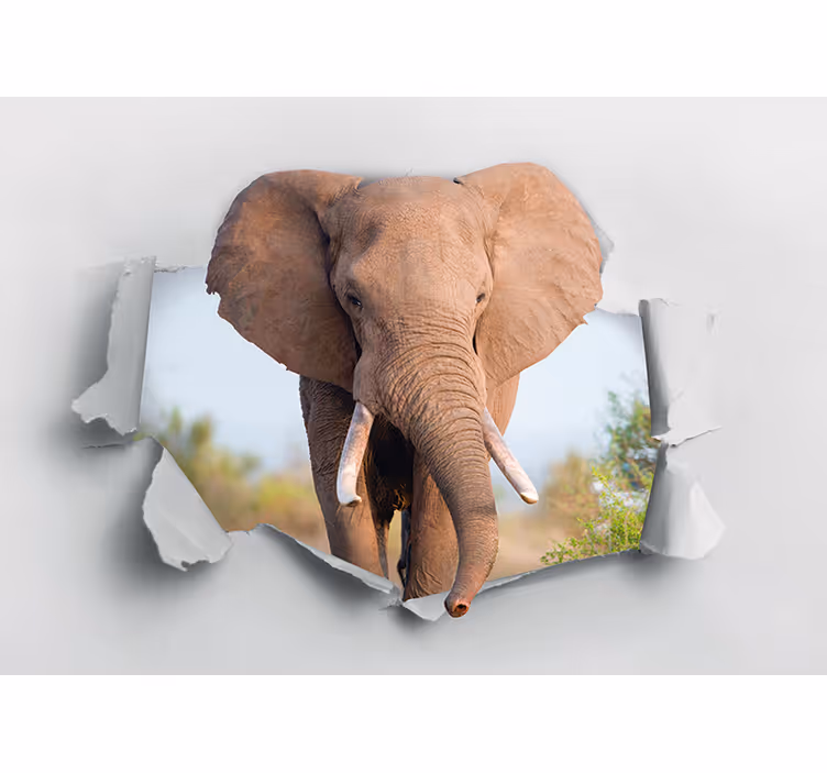Fototapete tiere majestätisches elefantenporträt - TenStickers