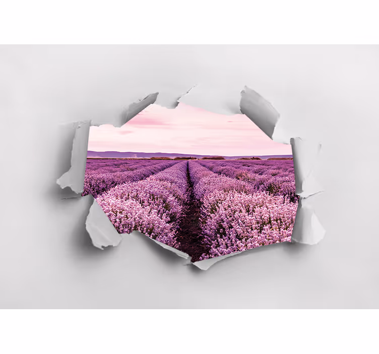 Fototapete blumen lavendelfeldansicht - TenStickers