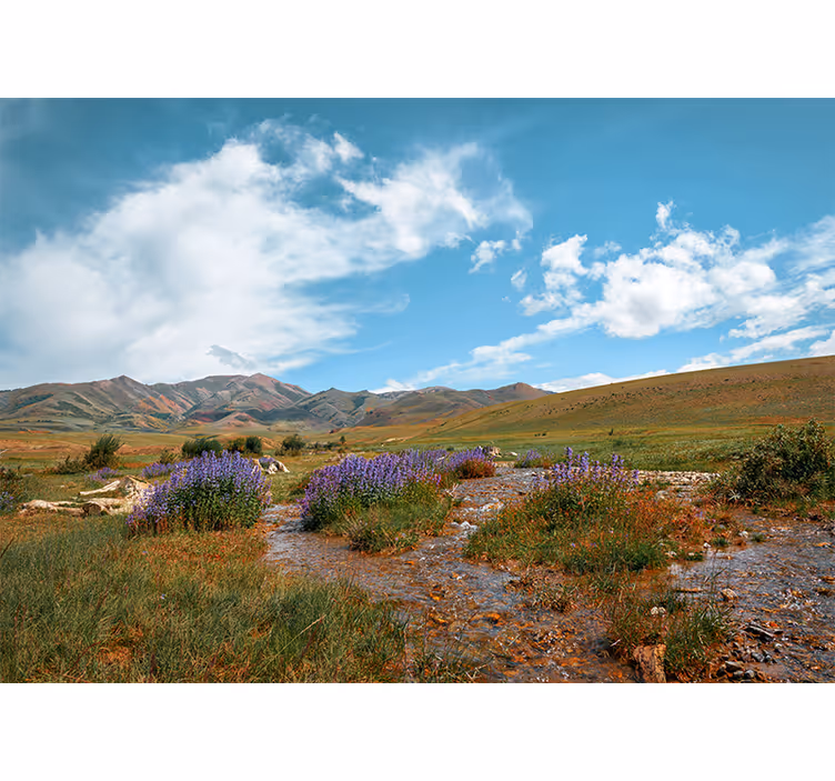 Fototapete Natur ruhige wiesenlandschaft - TenStickers