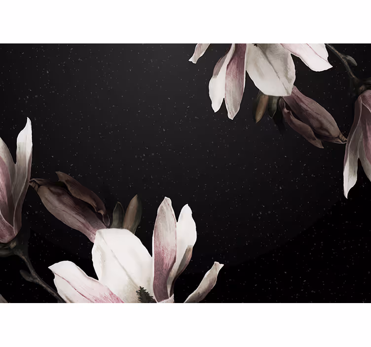 Fototapete Natur Schwarze und weiße magnolien - TenStickers