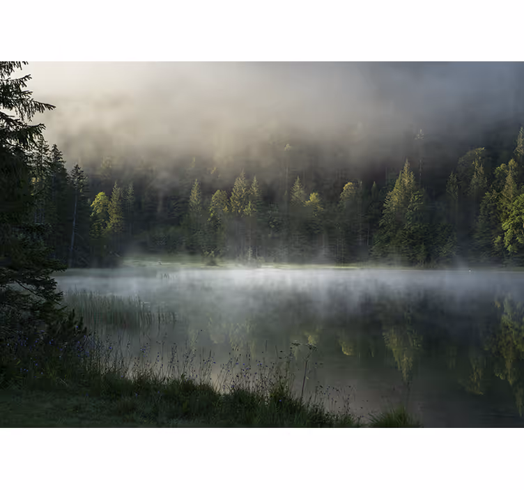 Fototapete natur ruhiger nebelsee - TenStickers