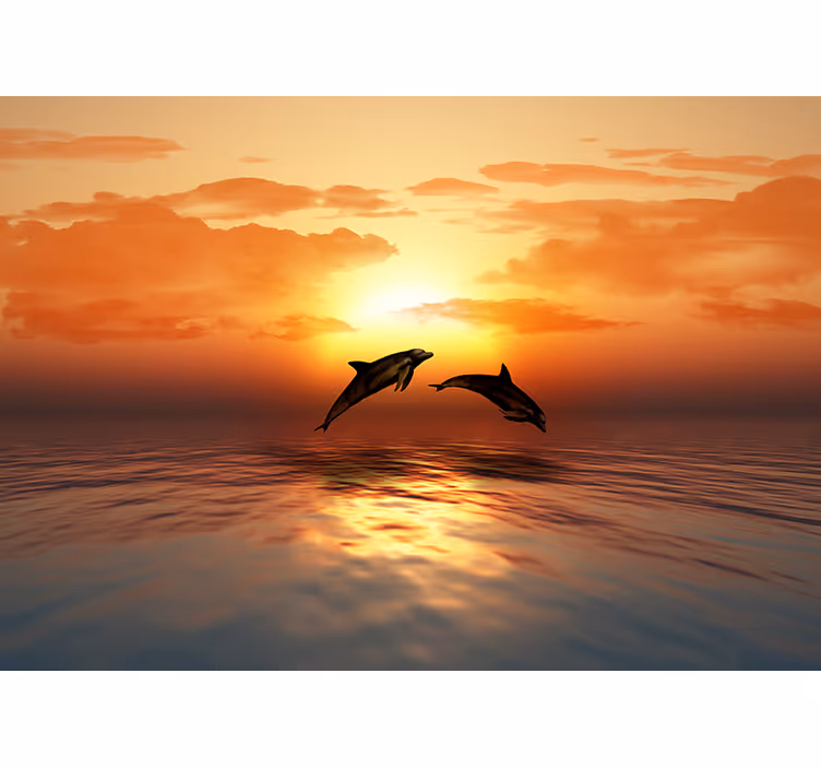 Fototapete Natur Delphine springen am abend - TenStickers