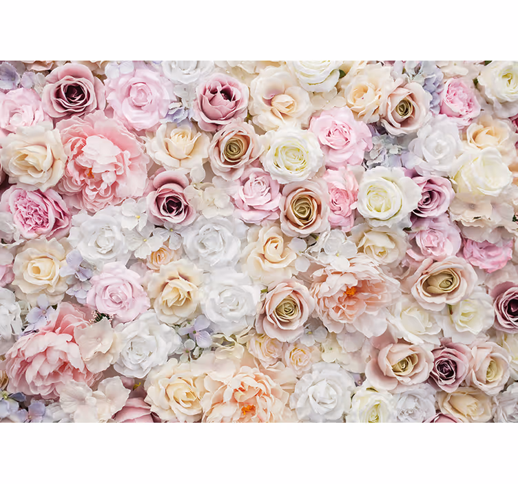 Fototapete Wohnzimmer Verschiedene Farben rosenblüten - TenStickers