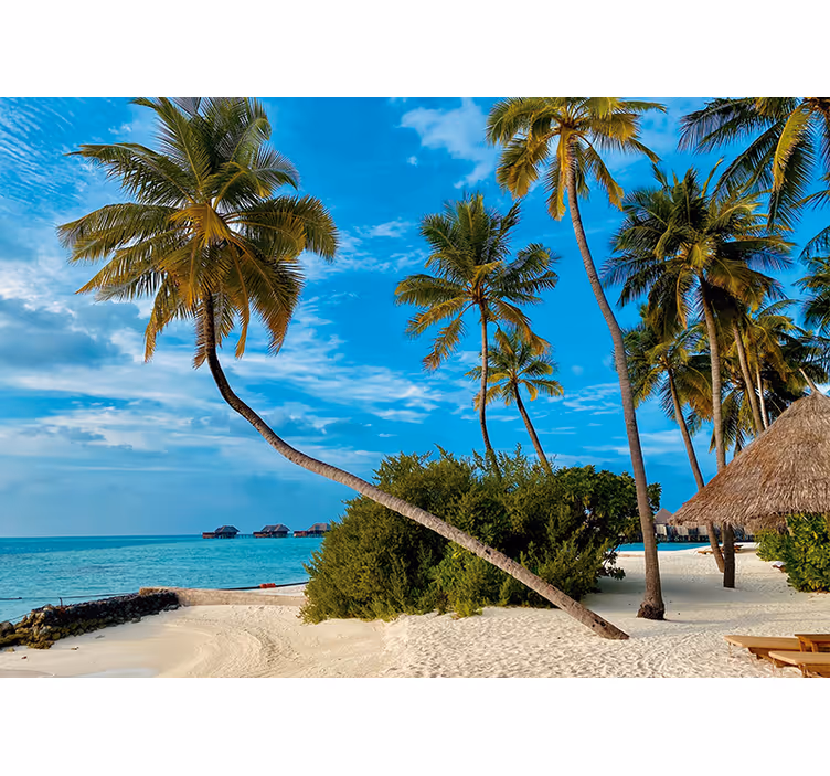 Fototapete natur tropische palmenlandschaft - TenStickers