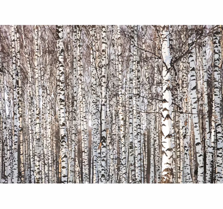 Fototapete Natur Birken überall - TenStickers