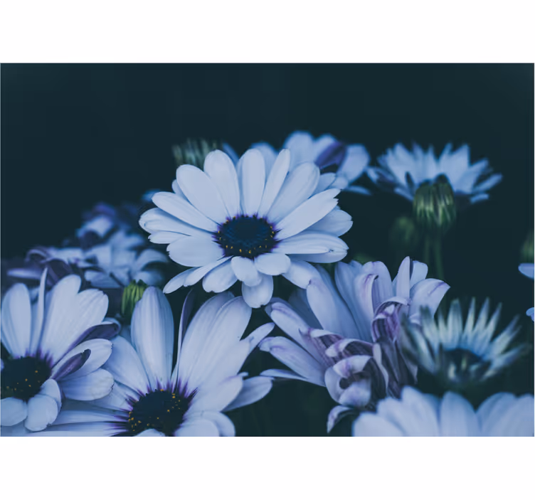 Fototapete blumen ruhige blumengestaltung - TenStickers
