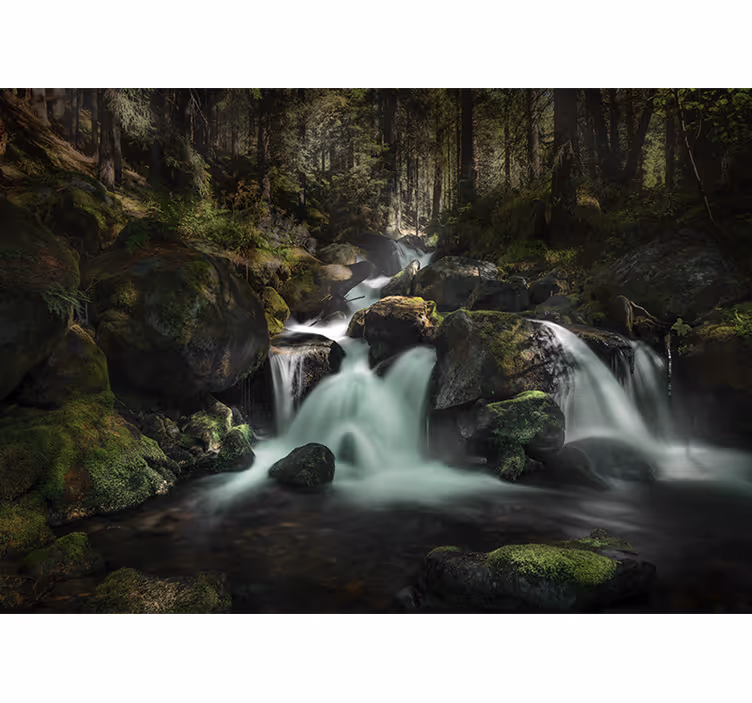 Fototapete Wald Hoher wasserfall - TenStickers