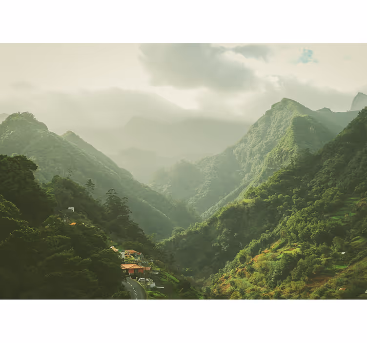 Fototapete landschaft gebirgsbachtal szene - TenStickers