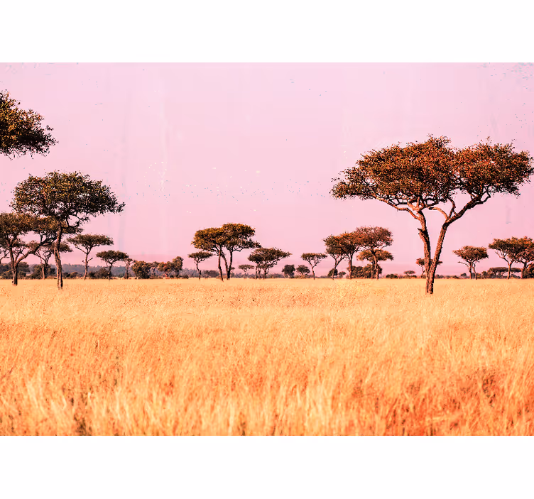 Fototapete landschaft serenes savannenpanorama - TenStickers