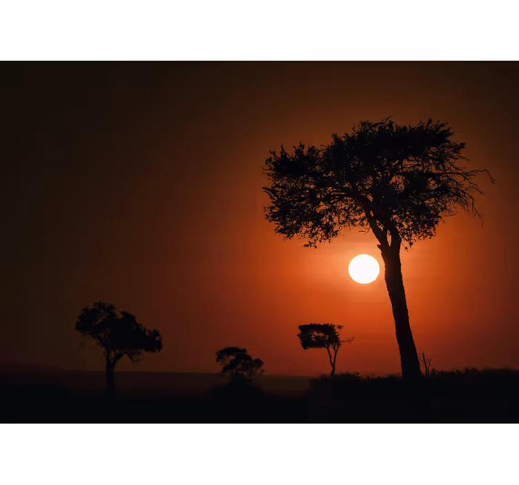Fototapete Landschaft silhouette sonnenuntergang szene - TenStickers