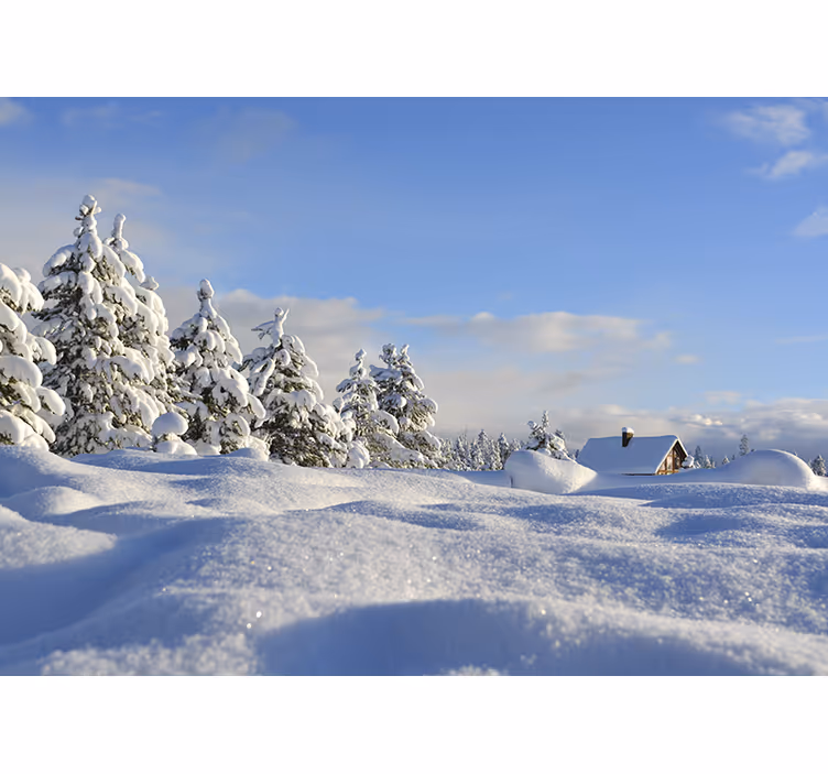 Fototapete landschaft winterliche schneelandschaft - TenStickers