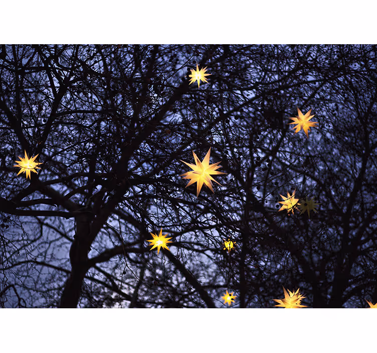 Fototapete weihnachten goldene sternennacht - TenStickers