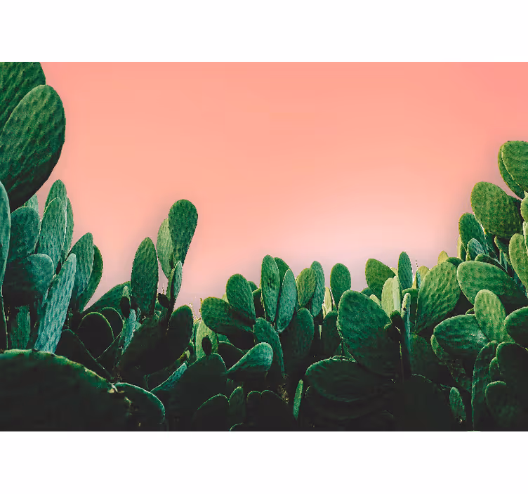 Fototapete natur kaktuslandschaft - TenStickers