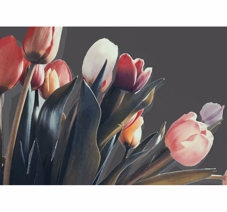 Fototapete blumen tulpenblüten präsentation - TenStickers