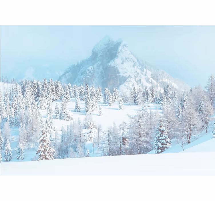 Fototapete berge eiskalte gipfellandschaft - TenStickers