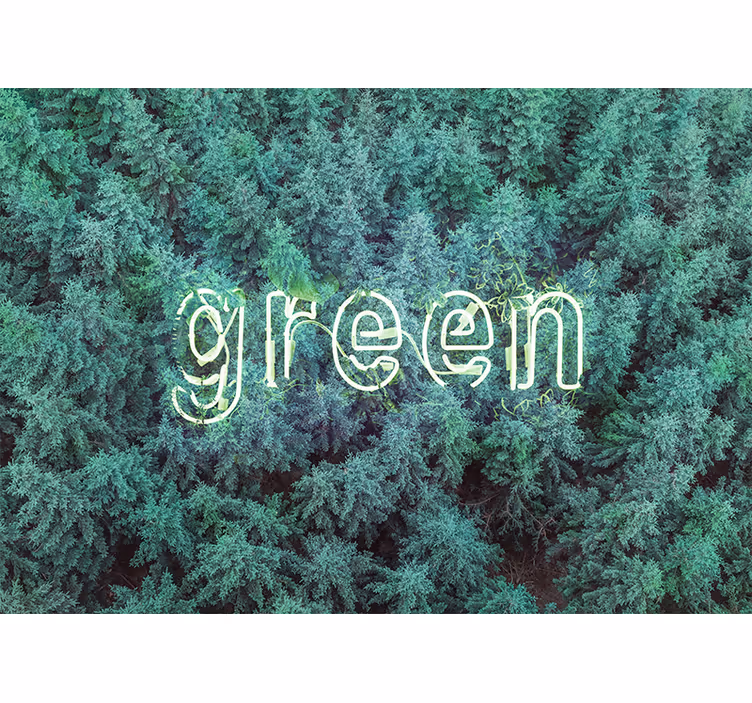 Fototapete Baum Grüner kiefernwald - TenStickers