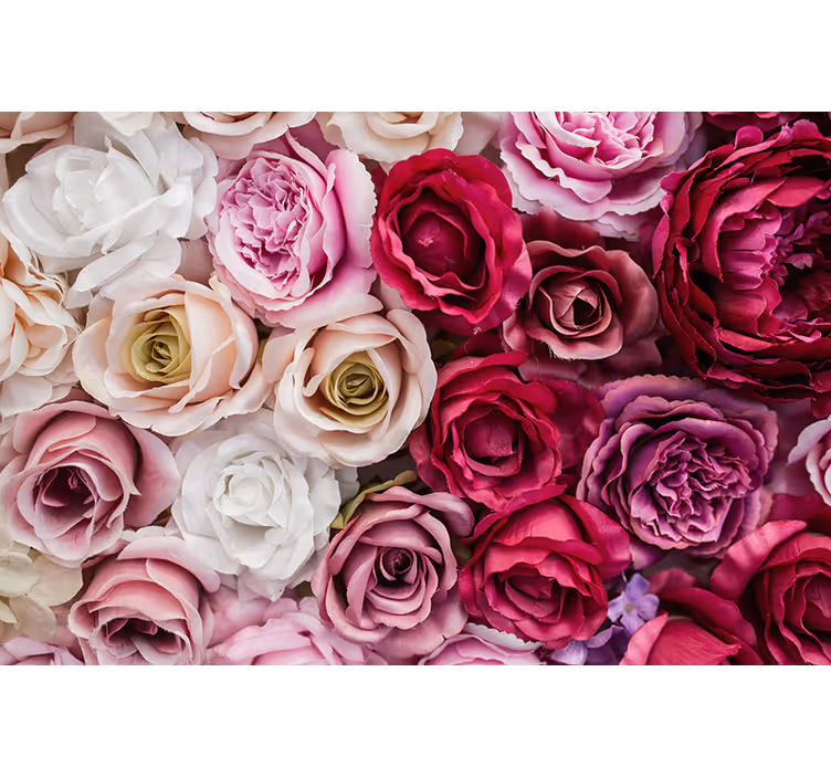 Fototapete blumen schöne rosenkollektion - TenStickers