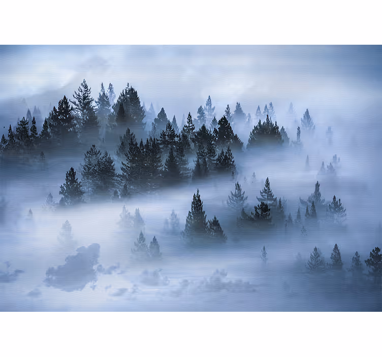 Fototapete natur nebeliger immergrünwald - TenStickers