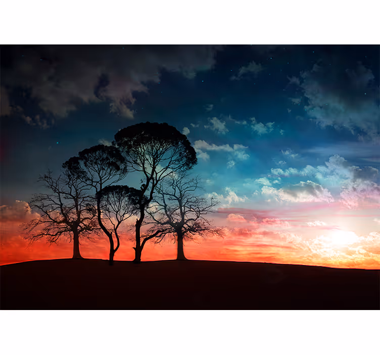 Fototapete baum silhouette baum im sonnenuntergang - TenStickers