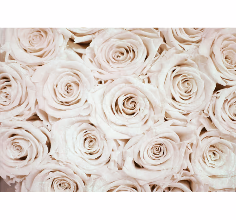 Fototapete blumen sanfte rosenarrangements - TenStickers