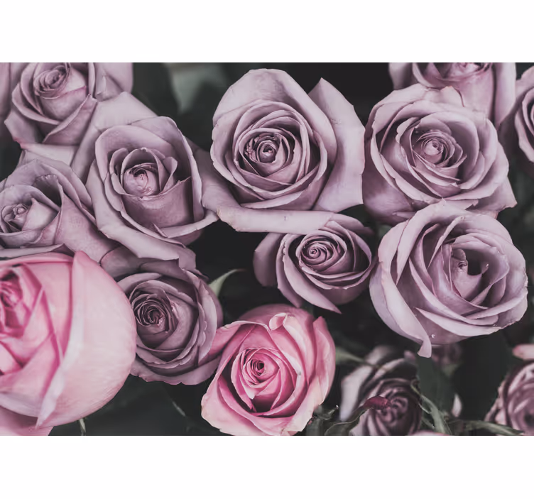Fototapete blumen lavendelrosenstrauß - TenStickers
