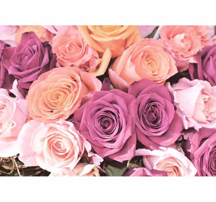 Fototapete blumen rosenbouquet nahaufnahme - TenStickers