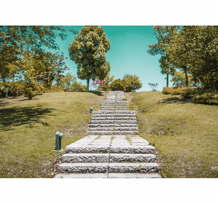 Fototapete natur treppe durch die natur - TenStickers
