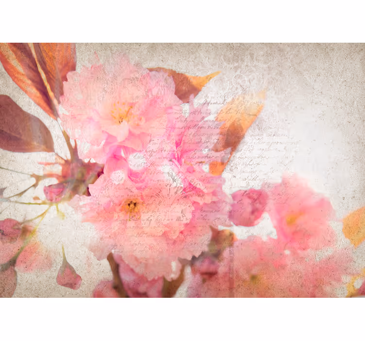 Fototapete blumen kirschblüte - TenStickers